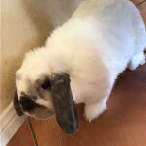 Meet your Posher, Natalie